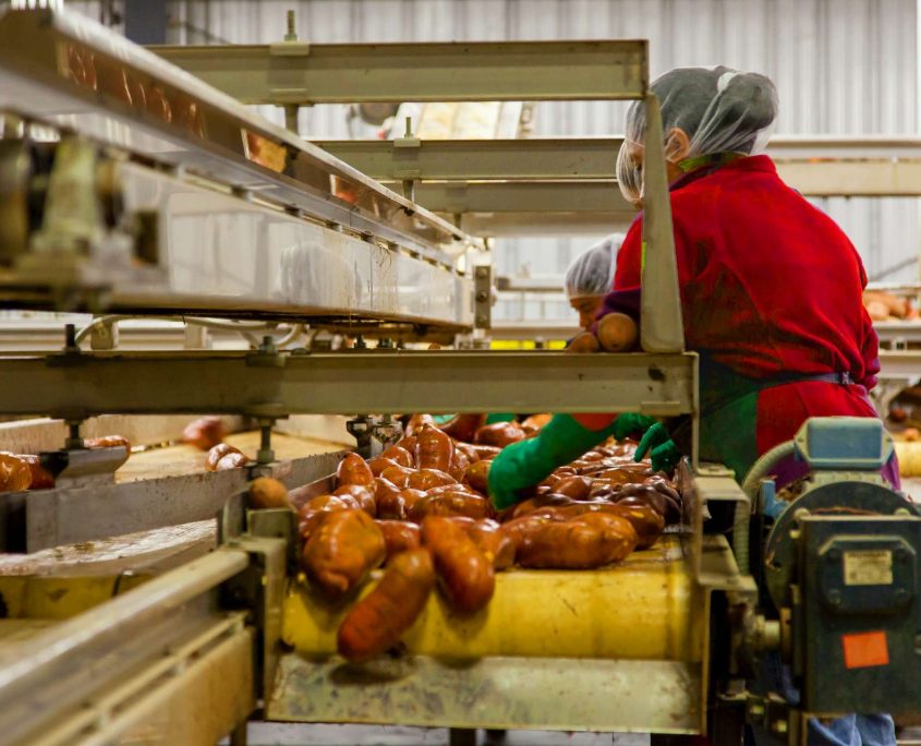 Base logistique pour l'Industrie Agroalimentaire Stock + à Niort, Deux-Sèvres, Nouvelle-Aquitaine, France. Base logistique pour l'Industrie Agroalimentaire Stock + à Niort, Deux-Sèvres, Nouvelle-Aquitaine, France.